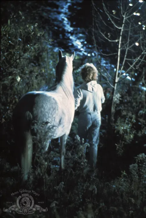 Эквус — кадр 8