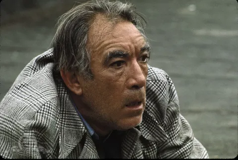 На той стороне 110-й улицы — кадр 5