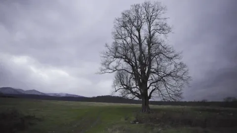 Элико — кадр 6