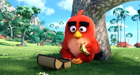 Angry Birds в кино — кадр 1