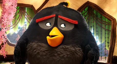 Angry Birds в кино — кадр 6