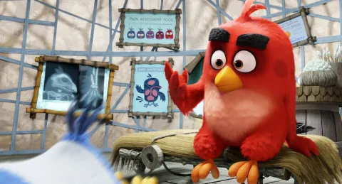 Angry Birds в кино — кадр 11