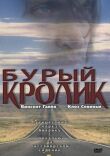 Бурый кролик смотреть онлайн бесплатно