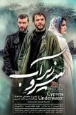Кипарис под водой смотреть онлайн бесплатно