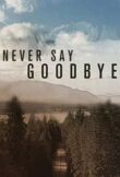 Never Say Goodbye смотреть онлайн бесплатно