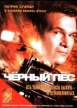 Черный пес смотреть онлайн бесплатно