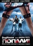 Попали! смотреть онлайн бесплатно