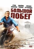Большой побег смотреть онлайн бесплатно