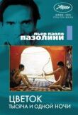Цветок тысяча и одной ночи смотреть онлайн бесплатно