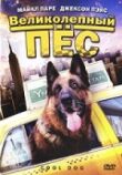Великолепный пес смотреть онлайн бесплатно