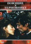 Поющие в терновнике смотреть онлайн бесплатно